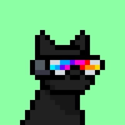 Damien Galvin - @ShieldMetaX profile photo - CryptoInfluencers.net reputation grade A+